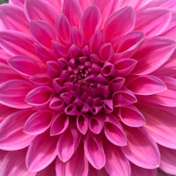 See you in a few weeks!